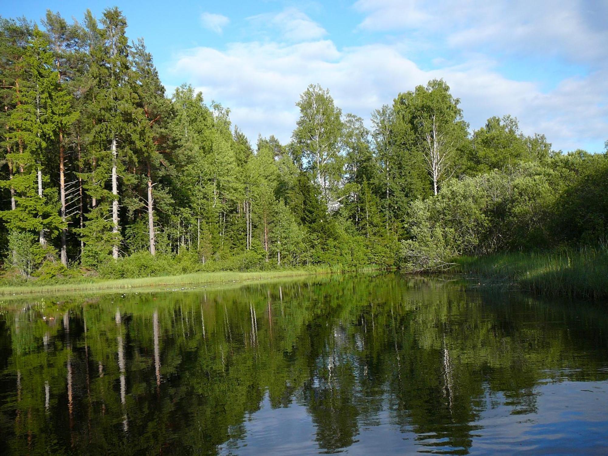 Lonneberga Vandrarhem & Hostel Buitenkant foto